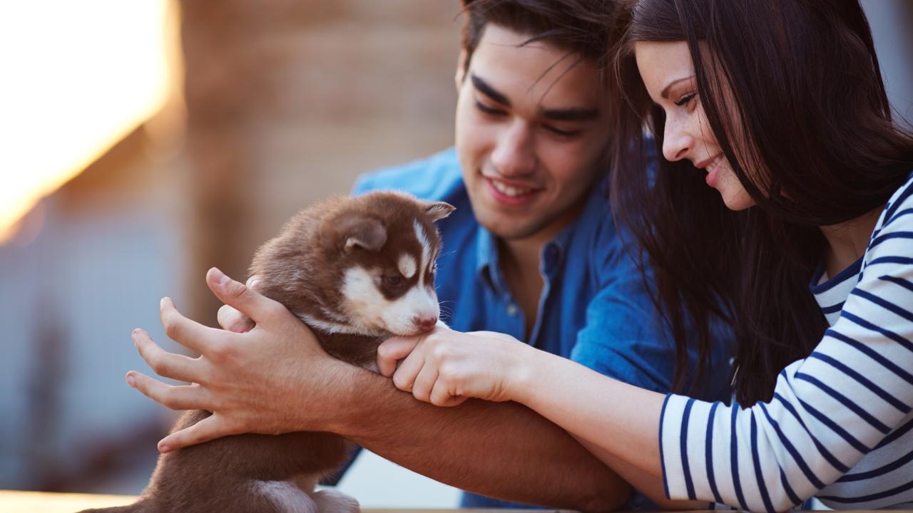 Capricorn Compatibility