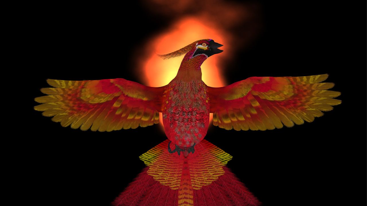 Phoenix