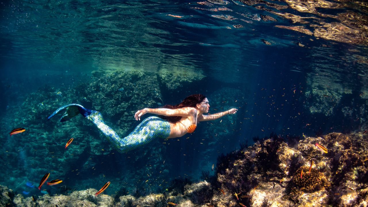 mermaid zodiac